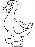 disegni_animali/papera/duck6.JPG