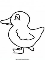 disegni_animali/papera/duck8.JPG