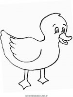 disegni_animali/papera/duck9.JPG