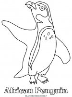 disegni_animali/pinguino/pinguino_12.JPG