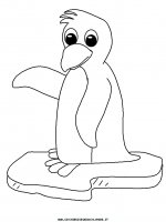 disegni_animali/pinguino/pinguino_14.JPG