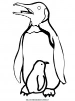disegni_animali/pinguino/pinguino_2.JPG