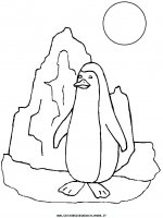 disegni_animali/pinguino/pinguino_6.JPG