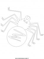 disegni_animali/ragno/ragno_9.JPG