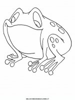 disegni_animali/rana/rana_10.JPG