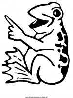 disegni_animali/rana/rana_13.JPG