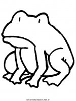 disegni_animali/rana/rana_15.JPG
