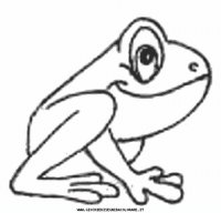 disegni_animali/rana/rana_23.JPG