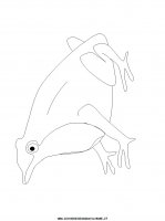 disegni_animali/rana/rana_30.JPG