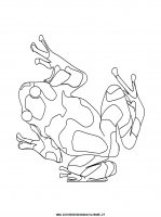 disegni_animali/rana/rana_33.JPG
