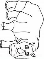 disegni_animali/rinoceronte/rinoceronte_2.JPG