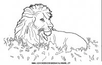 disegni_animali/savana/animali_savana_10.JPG