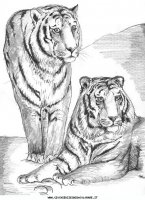 disegni_animali/savana/animali_savana_38.JPG