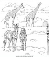 disegni_animali/savana/animali_savana_6.JPG