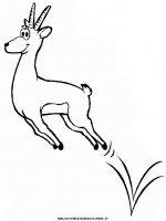 disegni_animali/savana/gazelle.JPG