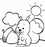 disegni_animali/scoiattolo/scoiattolo_0.JPG
