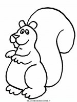 disegni_animali/scoiattolo/scoiattolo_1.JPG