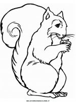 disegni_animali/scoiattolo/scoiattolo_2.JPG