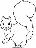 disegni_animali/scoiattolo/scoiattolo_3.JPG