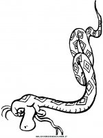 disegni_animali/serpente/serpenti_a3.JPG