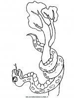 disegni_animali/serpente/serpenti_a4.JPG