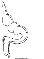 disegni_animali/serpente/serpenti_a5.JPG