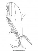 disegni_animali/squalo/squalo_3.JPG
