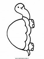 disegni_animali/tartaruga/tartaruga_a1.JPG