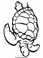 disegni_animali/tartaruga/tartaruga_b10.JPG