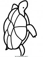 disegni_animali/tartaruga/tartaruga_b6.JPG