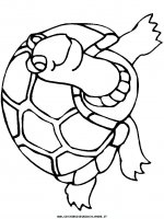 disegni_animali/tartaruga/tartaruga_b7.JPG