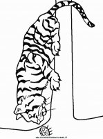 disegni_animali/tigre/tigre_8.JPG