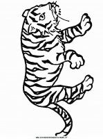 disegni_animali/tigre/tigre_9.JPG