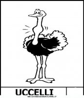 disegni_animali/uccelli/Struzzo.JPG