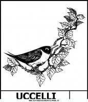 disegni_animali/uccelli/Uccello4.JPG