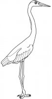 disegni_animali/uccelli/airone.jpg
