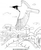 disegni_animali/uccelli/an-uccello1.JPG