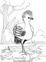 disegni_animali/uccelli/an-uccello2.JPG