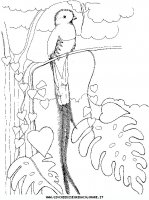 disegni_animali/uccelli/an-uccello3.JPG