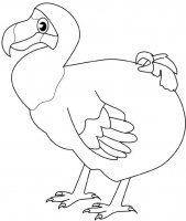 disegni_animali/uccelli/dodo.jpg