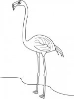 disegni_animali/uccelli/fenicottero.jpg