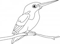 disegni_animali/uccelli/martin_pescatore.jpg