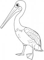 disegni_animali/uccelli/pellicano.jpg