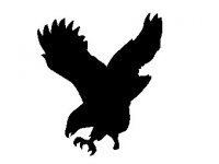 disegni_animali/uccelli/silhouette.jpg