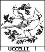 disegni_animali/uccelli/uccelli1.JPG
