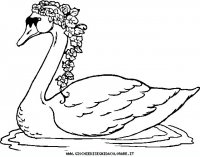 disegni_animali/uccelli/uccelli_15.JPG
