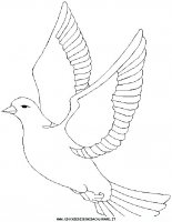 disegni_animali/uccelli/uccelli_20.JPG