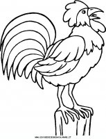 disegni_animali/uccelli/uccelli_27.JPG