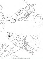 disegni_animali/uccelli/uccelli_32.JPG