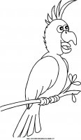 disegni_animali/uccelli/uccelli_34.JPG